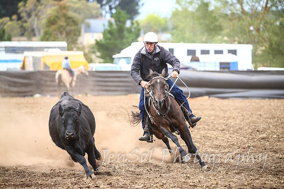 NimmitabelCampdraft2017_3317