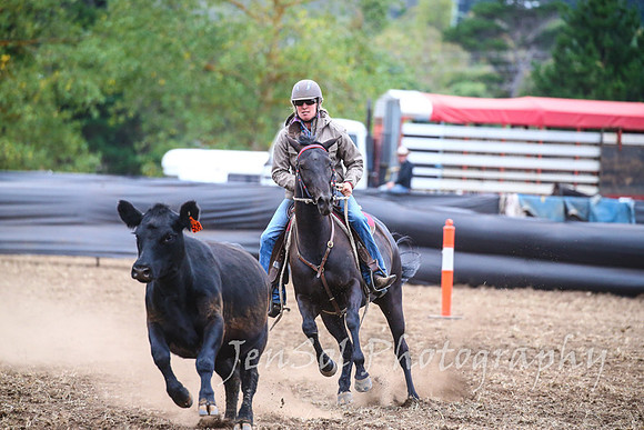 NimmitabelCampdraft2017_3701