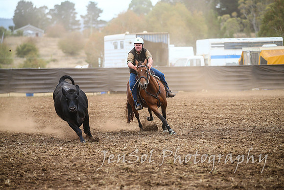 NimmitabelCampdraft2017_2140