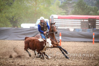 NimmitabelCampdraft2017_2217