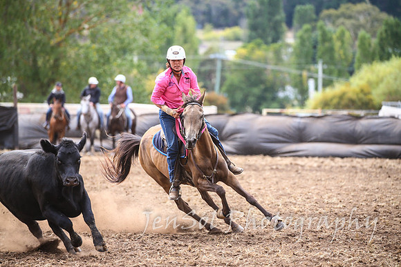 NimmitabelCampdraft2017_2737