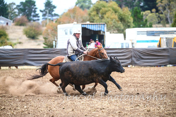 NimmitabelCampdraft2017_3661