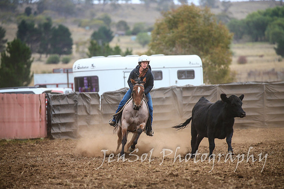 NimmitabelCampdraft2017_2427
