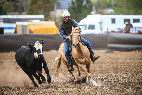 NimmitabelCampdraft2017_3104
