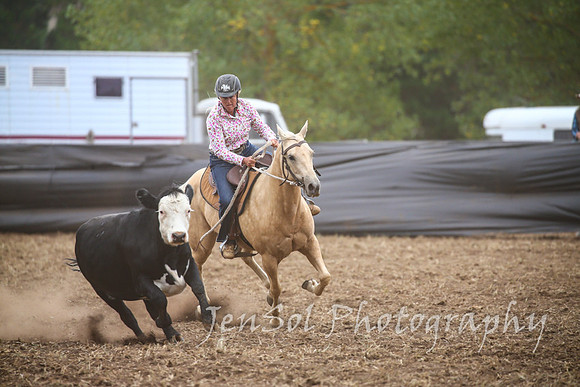 NimmitabelCampdraft2017_2524