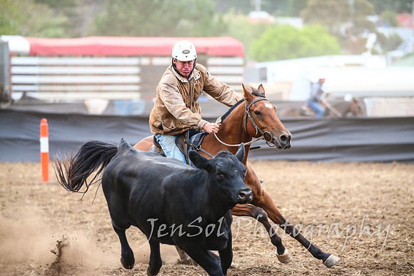 NimmitabelCampdraft2017_2258