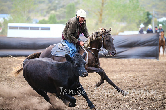 NimmitabelCampdraft2017_2211