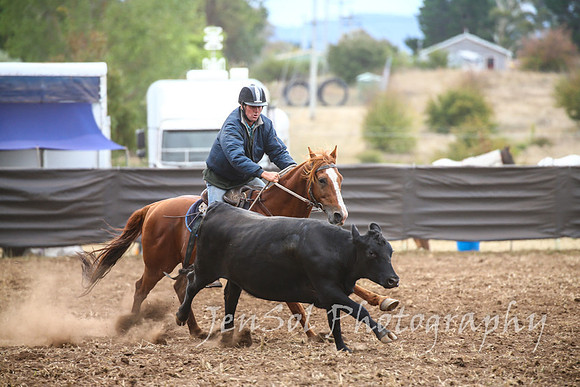 NimmitabelCampdraft2017_2795