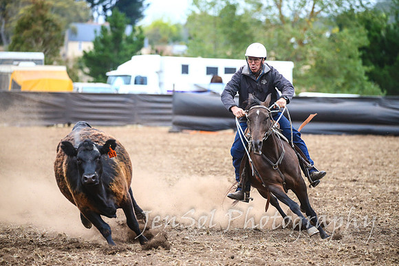 NimmitabelCampdraft2017_3717