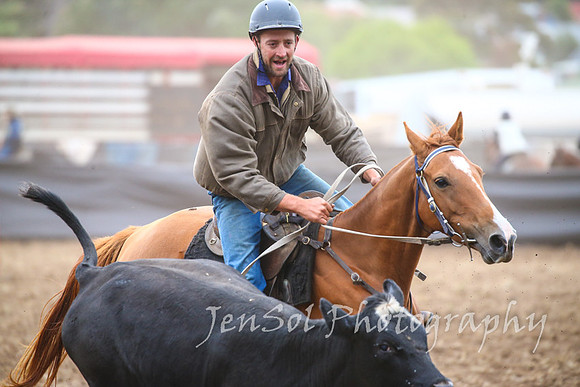 NimmitabelCampdraft2017_2252