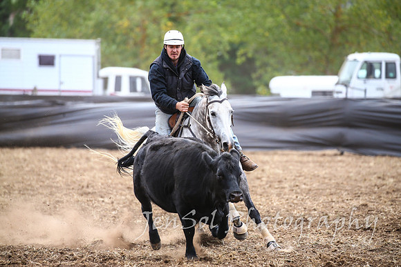 NimmitabelCampdraft2017_2714