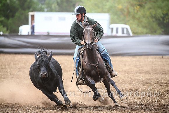 NimmitabelCampdraft2017_3073