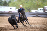NimmitabelCampdraft2017_2227