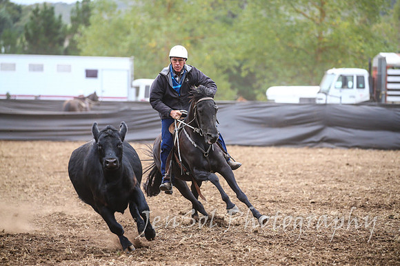 NimmitabelCampdraft2017_2227