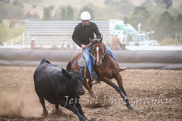 NimmitabelCampdraft2017_2150
