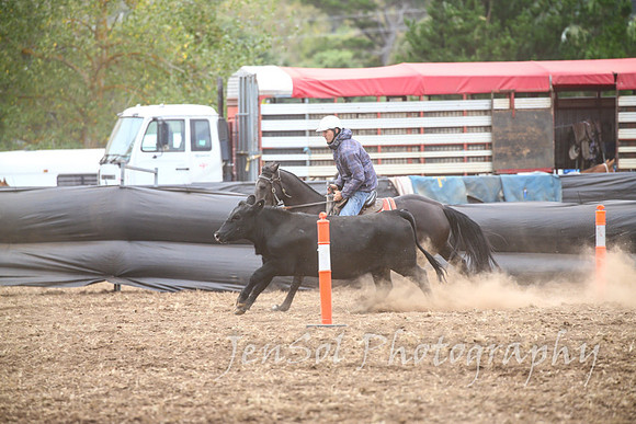 NimmitabelCampdraft2017_3241