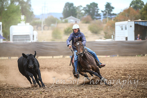 NimmitabelCampdraft2017_2628