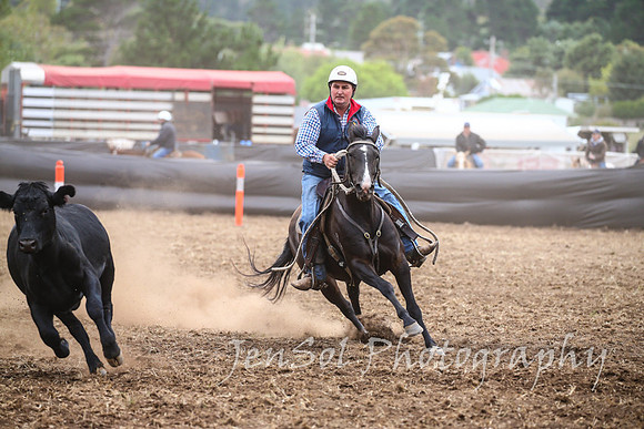 NimmitabelCampdraft2017_2343