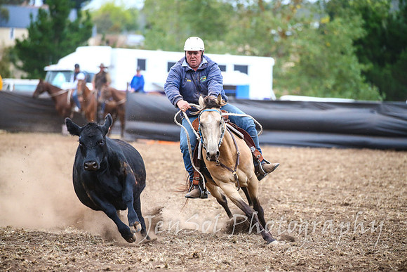 NimmitabelCampdraft2017_3708