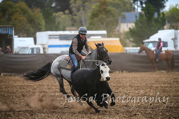 NimmitabelCampdraft2017_2595