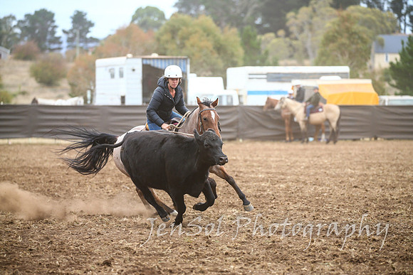 NimmitabelCampdraft2017_2428