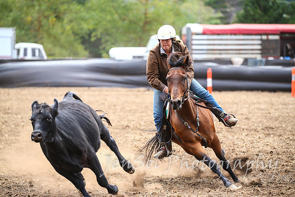 NimmitabelCampdraft2017_2728