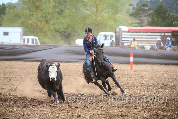 NimmitabelCampdraft2017_2352
