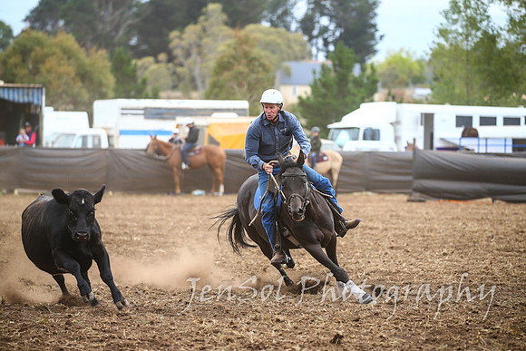 NimmitabelCampdraft2017_2356