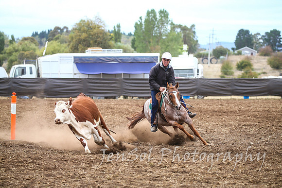 NimmitabelCampdraft2017_3140