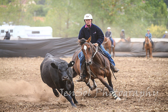 NimmitabelCampdraft2017_2377