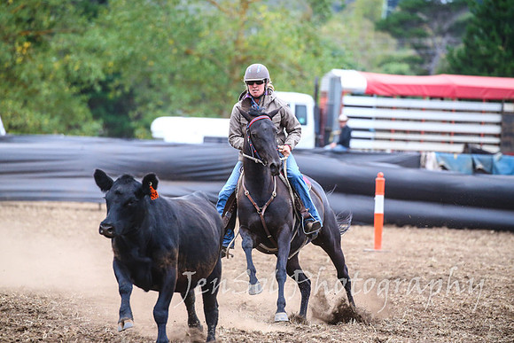 NimmitabelCampdraft2017_3700