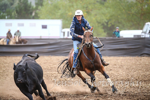 NimmitabelCampdraft2017_2680