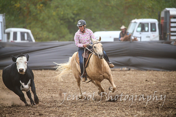 NimmitabelCampdraft2017_2518