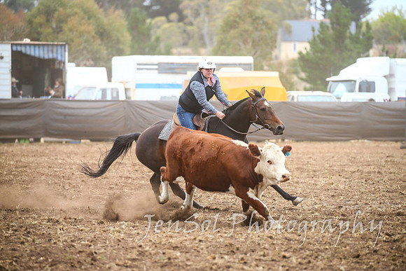 NimmitabelCampdraft2017_2511
