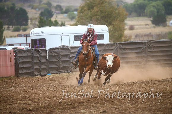 NimmitabelCampdraft2017_2536