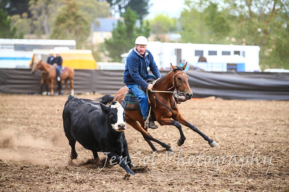 NimmitabelCampdraft2017_2288