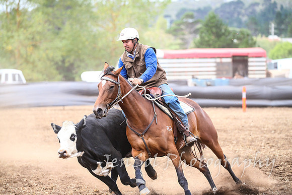 NimmitabelCampdraft2017_3305