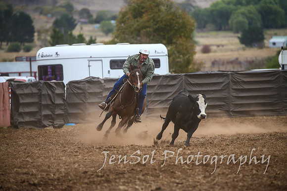 NimmitabelCampdraft2017_2572
