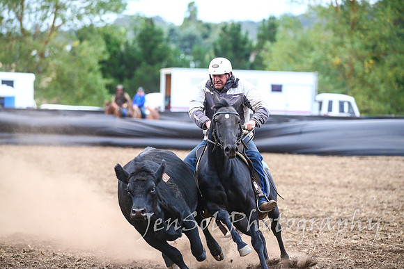 NimmitabelCampdraft2017_3754