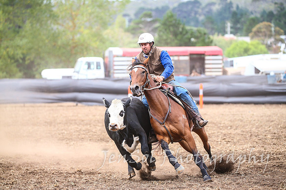NimmitabelCampdraft2017_3288