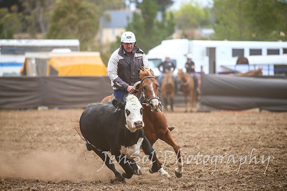 NimmitabelCampdraft2017_2299