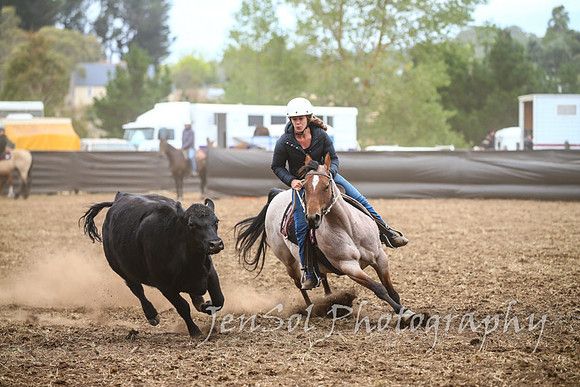 NimmitabelCampdraft2017_2433