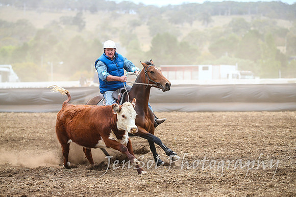 NimmitabelCampdraft2017_2324