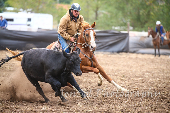 NimmitabelCampdraft2017_3151