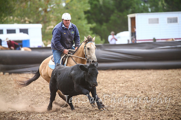 NimmitabelCampdraft2017_2786