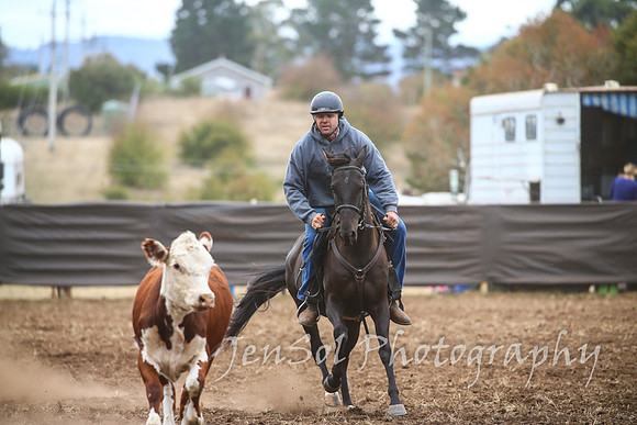 NimmitabelCampdraft2017_2525