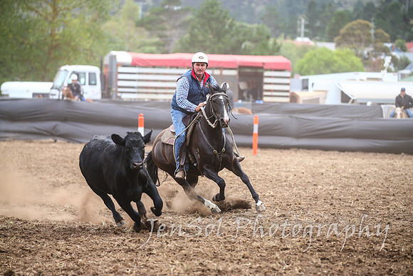 NimmitabelCampdraft2017_2348