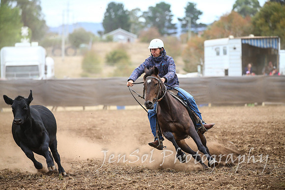NimmitabelCampdraft2017_2626