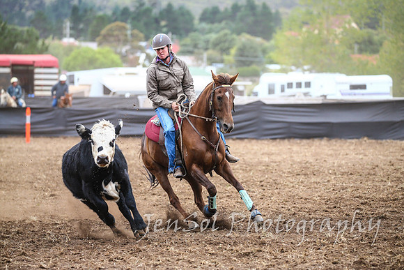 NimmitabelCampdraft2017_2203