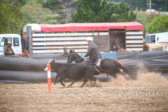 NimmitabelCampdraft2017_3197